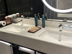 -新加坡乌节希尔顿酒店 (SG Clean)