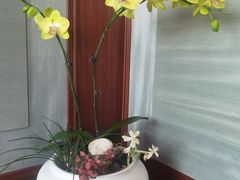 -北京饭店谭家菜