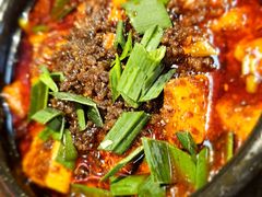 -陈麻婆豆腐(旗舰店)