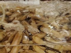 -牡丹国际大酒店-港式茶餐厅