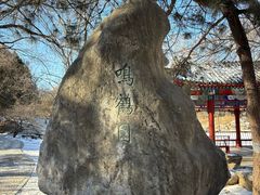 -北京大学赛克勒考古与艺术博物馆