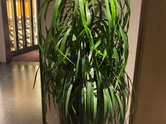 -花锦堂·隐庐