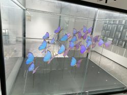 -酷嗒动物文化乐园(cutezoo西溪乐天城店)