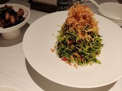 巧拌豆苗-四季民福烤鸭店(王府井东安门店)