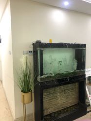 -VE专注问题肌·赛诺龙&科学美肤中心