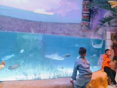 -沈阳海洋探索中心