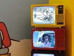 -九木杂物社(中心店)