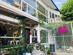 -有猫主题·治愈系猫咖(曾厝垵店)