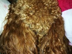 -阿英煲(凉城路店)