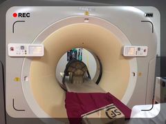 -美联众合动物医院·24h转诊中心