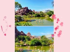 -芽庄珍珠岛游乐园