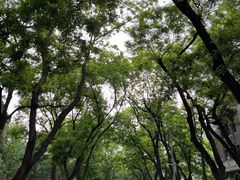 -北京大学五四田径场