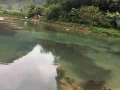 -靖西鹅泉风景区