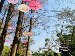 -人民公园(罗湖区)