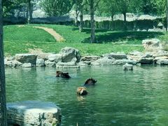 -北京野生动物园