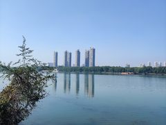 -长白岛森林公园