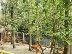 -合肥滨湖国家森林公园