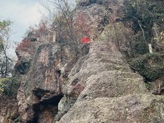-树山生态村