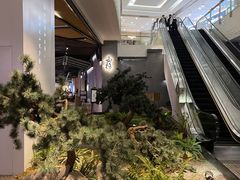 -满满元气和田大枣糕·蛋糕(朝阳大悦城店)