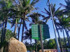 -海上田园