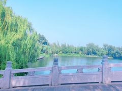 -济南大明湖景区