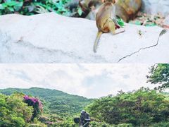 -亚龙湾热带天堂森林公园