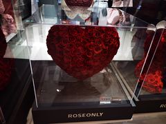 -ROSEONLY诺誓(广州K11店)