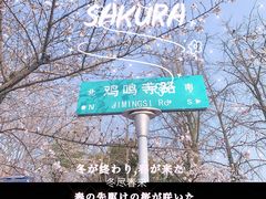 -南京城墙景区