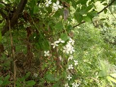 -浮戏山雪花洞风景名胜区