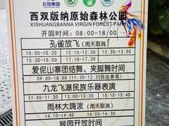 -西双版纳原始森林公园