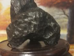 -志强陨石馆(双季花艺店)