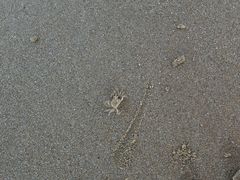 -青岛银沙滩