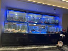 -南海渔村(珠江新城店)