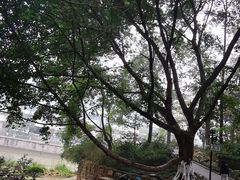 -成都市活水公园
