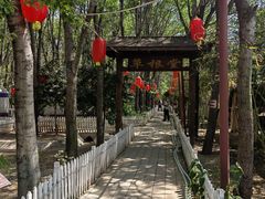 -草根堂农场
