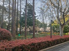 -徐家汇源景区-衡山公园