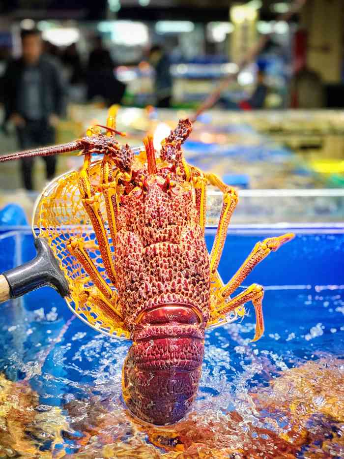 帝壹海中鲜海鲜酒楼·宴会厅-"我觉得这条视频可以拍个抖音应该能火