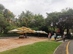 -深圳国际园林花卉博览园