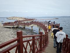 -养马岛旅游度假区