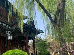 -迎泽公园