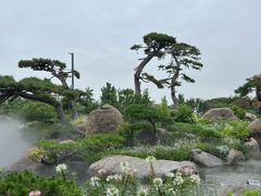 -罗红摄影艺术馆