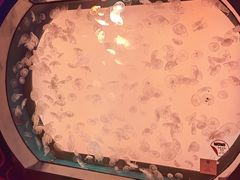 -沈阳海洋探索中心