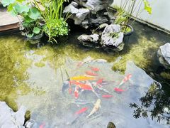 -道南書院·私房菜·早午茶·茶馆