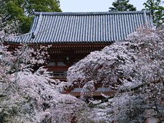 -醍醐寺