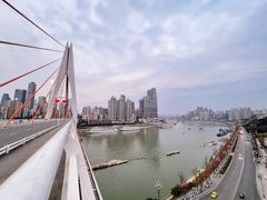 -南山植物园