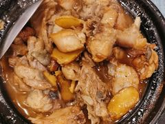 茶油焖黑兔/份-茶油香闽南菜·花园餐厅(前埔店)