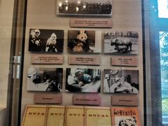 -北京动物园-畅观楼