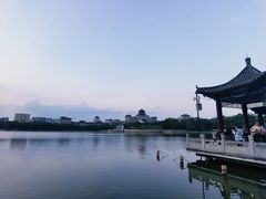 -莲花池公园