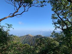 -姑婆山旅游区