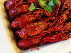 -海岛八号龙虾烧烤田鸡(蓝天路总店)